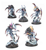 Kill Team: Typhon