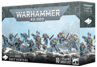 Space Wolves: Grey Hunters