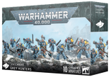 Space Wolves: Grey Hunters